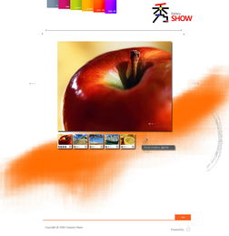 798藝術(shù)區(qū)的創(chuàng)意橋梁 為中韓設(shè)計工作室打造卓越網(wǎng)站與推廣策略